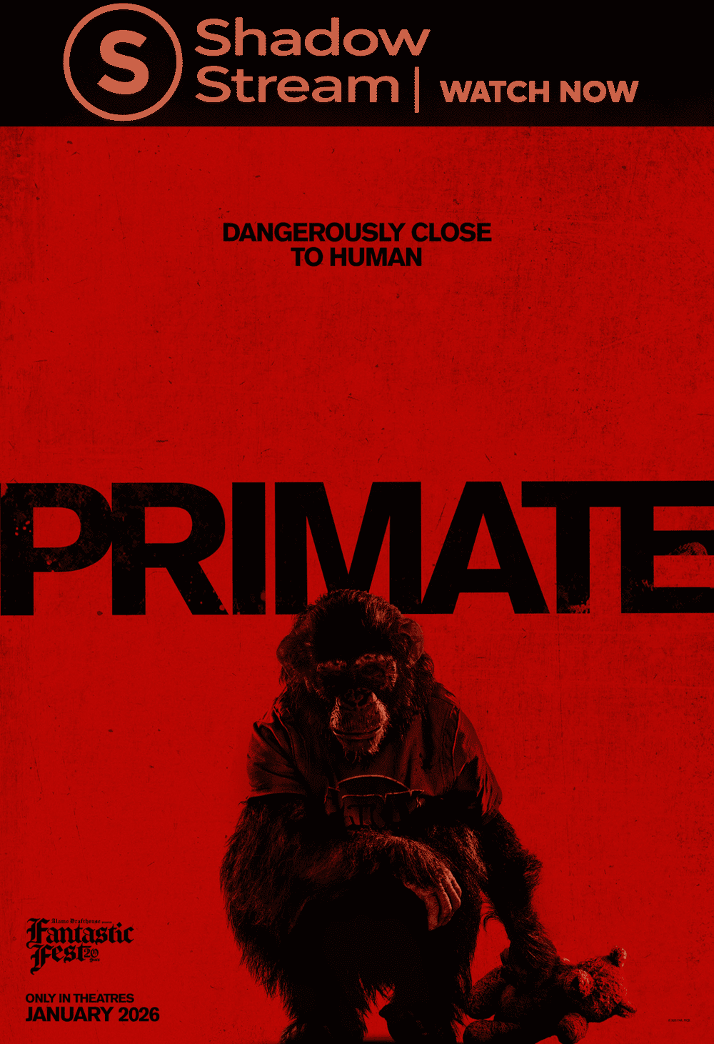 MV5BMmJiNjM5MWUtYzM1ZS00YTFiLTkxZWEtOTYwNWEyYTA3NDQ1XkEyXkFqcGc@._V1_ copie